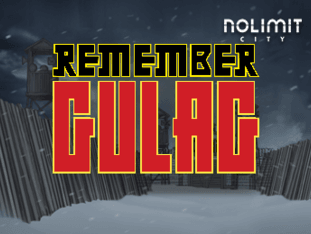 Remember Gulag game thumbnail